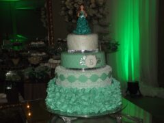15 Anos de Elisandra Almeida